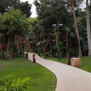 Meet your Posher, Tony